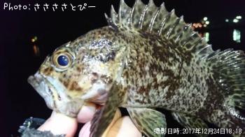 ¥½¥¤¡õ¥á¥Ð¥ë