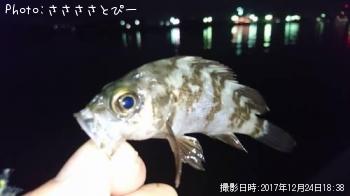 ¥½¥¤¡õ¥á¥Ð¥ë