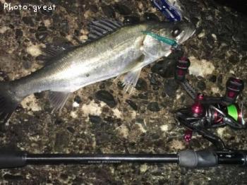 �����Х�