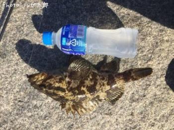 ¥¿¥±¥Î¥³¥á¥Ð¥ë