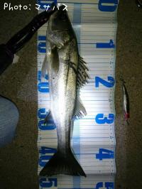 �����Х�