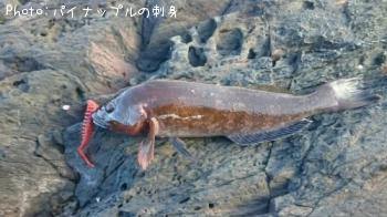 �����ʥ�