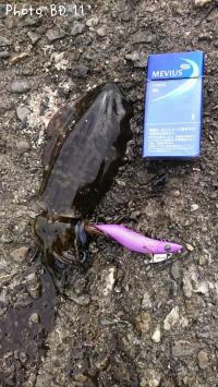 ¥¢¥ª¥ê¥¤¥«