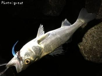 �����Х�