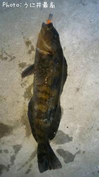 �����ʥ�