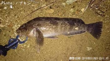 �����ʥ�