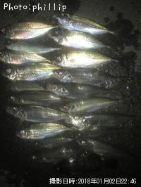 ��������Х롢������