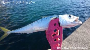 ���С������Х�