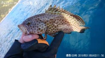 �������ϥ�