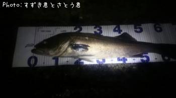 �����Х�