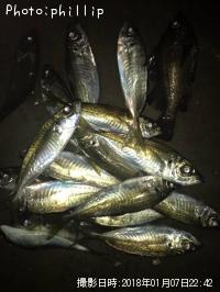 ��������Х�