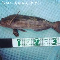 �����ʥ�