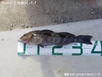 �����ʥ�