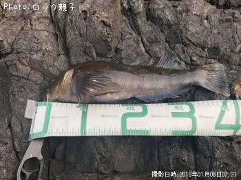 �����ʥ�