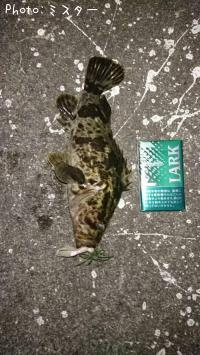 �����Υ���Х�