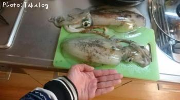 ¥¢¥ª¥ê¥¤¥«