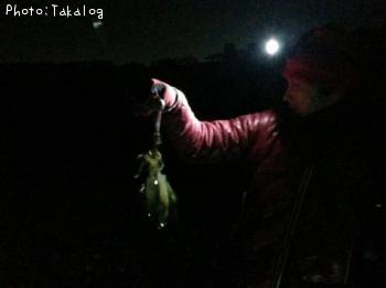 �����ꥤ��