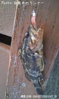 ¥¿¥±¥Î¥³¥á¥Ð¥ë