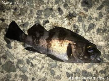 ¥á¥Ð¥ë¡¢¥¢¥¸