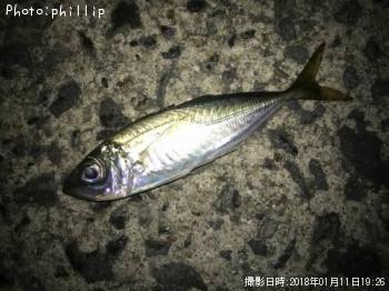 ¥á¥Ð¥ë¡¢¥¢¥¸