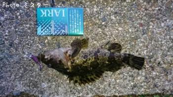 �����Υ���Х�