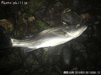 �����Х�