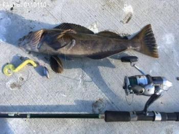 �����ʥ�