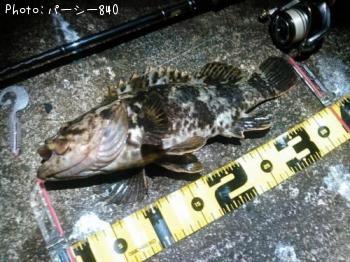 ¥¿¥±¥Î¥³¥á¥Ð¥ë