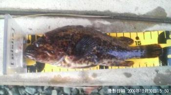 �����Υ���Х�