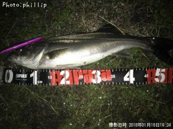 �����Х�