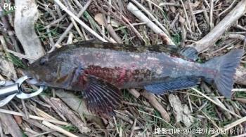 �����ʥ�