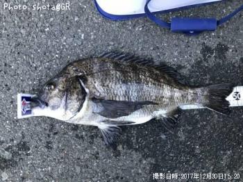 ¹õÂä¡¡¥Õ¥«¥»