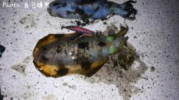 �����ꥤ��