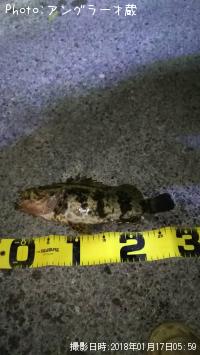 �٥å�������