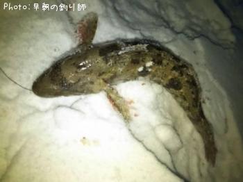 �����ʥ�