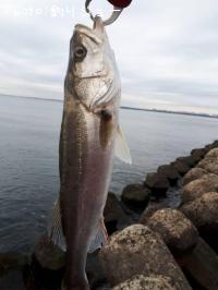 �����Х�