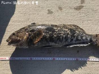 �����ʥ�