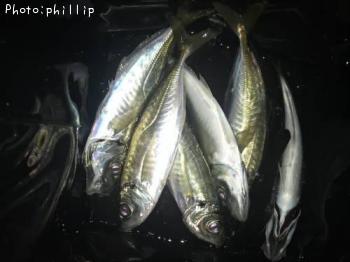 ¥¢¥¸¡¢¥á¥Ð¥ë