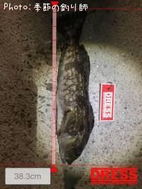 �����ʥ�