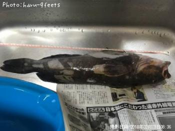 �����ʥ�