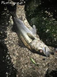 �����Х�