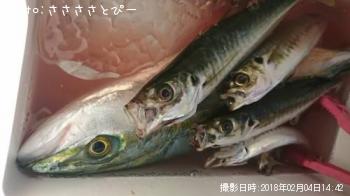 ¥¤¥Ê¥À¡õ¥¢¥¸