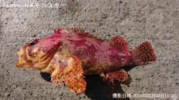 ¥è¥í¥¤¥á¥Ð¥ë