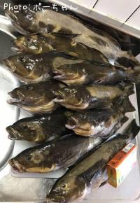 �����ʥ�