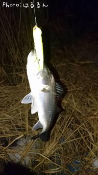 �����Х�