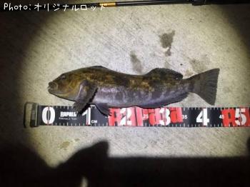 �����ʥ�