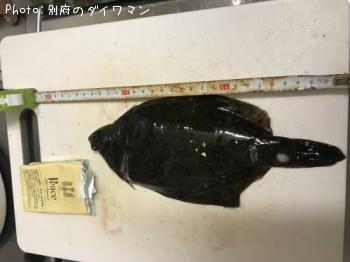 �ޥ����쥤