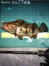 �٥å�������