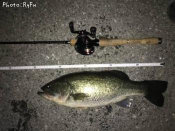 �֥�å��Х�