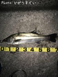 �����Х�